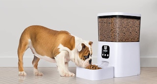 amazon automatic pet dispenser 1620837297 1620837297 e1620837337203