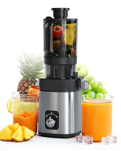 Cold Press Juicer