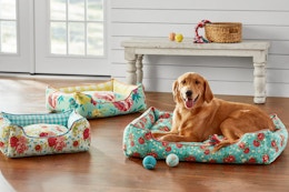 Editor-Approved Find: Pioneer Woman Pet Beds, as Low as $24 at Walmart card image