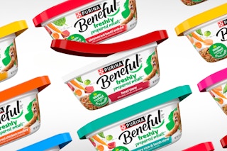 Purina Beneful Wet Dog Food
