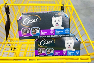 dollar general cesar wet dog food in a shopping cart