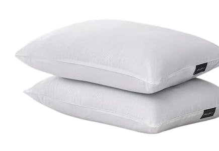 Eddie Bauer Pillows 2-Pack