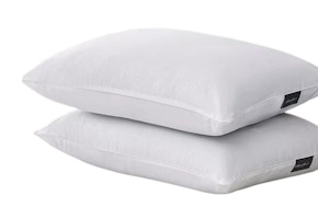 Eddie Bauer Pillows 2-Pack