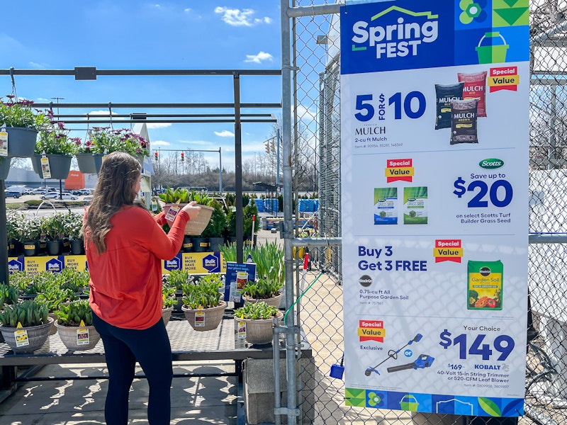 a person looking at a plant outside of a lowes