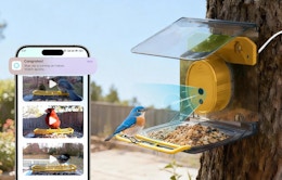 bird feeder
