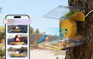 bird feeder
