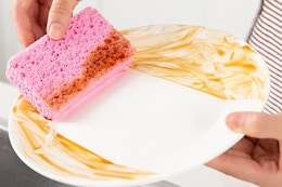 kitchen sponge
