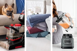 Dirt Devil carpet cleaner, Hotel Style blankets, Ninja Blender