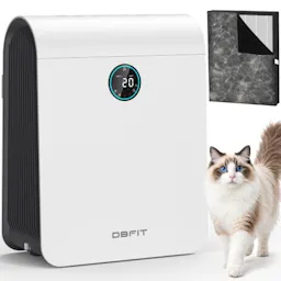 H13 HEPA Air Purifier