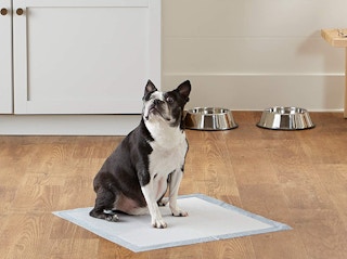 amazonbasics puppy pads screenshot 1673290627 1673290627