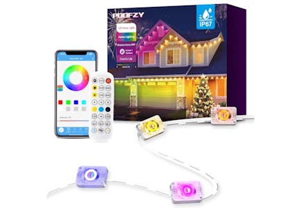 Permanent Outdoor Lights