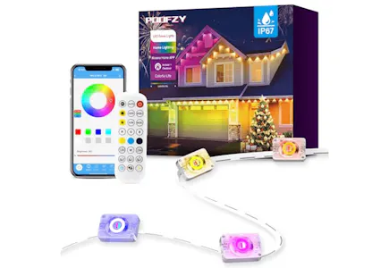 Permanent Outdoor Lights