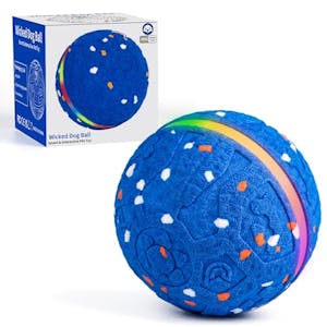 Interactive Dog Toy Ball