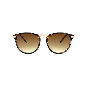 Madden NYC Sunglasses