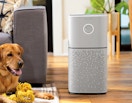 an air purifier in a room next to a dog