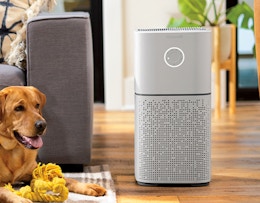 Bissell Air180 Air Purifier, Now $83.99 for Amazon Prime Day card image