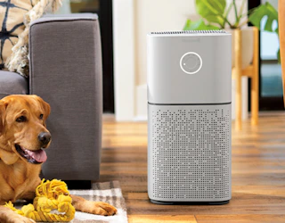 an air purifier in a room next to a dog
