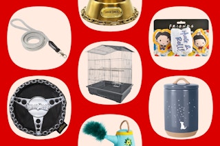 collage of clearance pet items