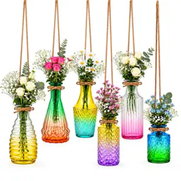 Glass Hanging Propagation Vases