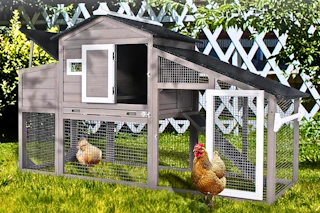Lifestyle image of a chicken coop in a yard setting