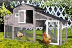 Lifestyle image of a chicken coop in a yard setting