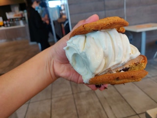 Mcdonald's secret menu item ice cream sandwich