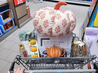 aldi finds in shopping cart