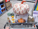 aldi finds in shopping cart