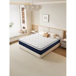 Queen Mattress