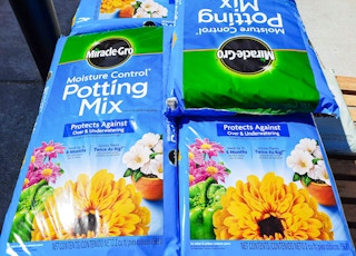 Miracle Gro Moisture Control Potting Mix at Ace Hardware