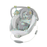 Ingenuity Baby Bouncer