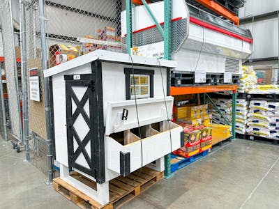 Overez Chicken Coop