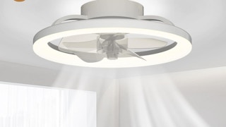 a ceiling fan with a circular light