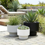 Decorative Garden Pots