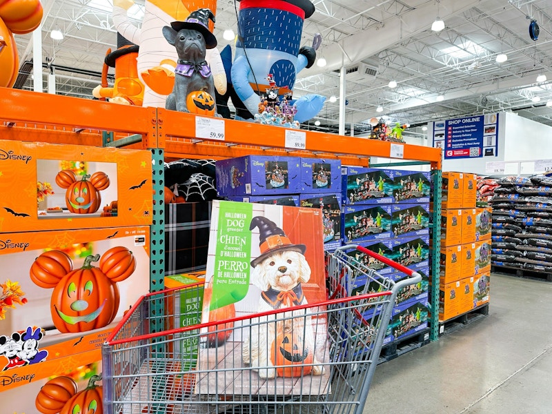 costco-halloween-dog-greeter-3