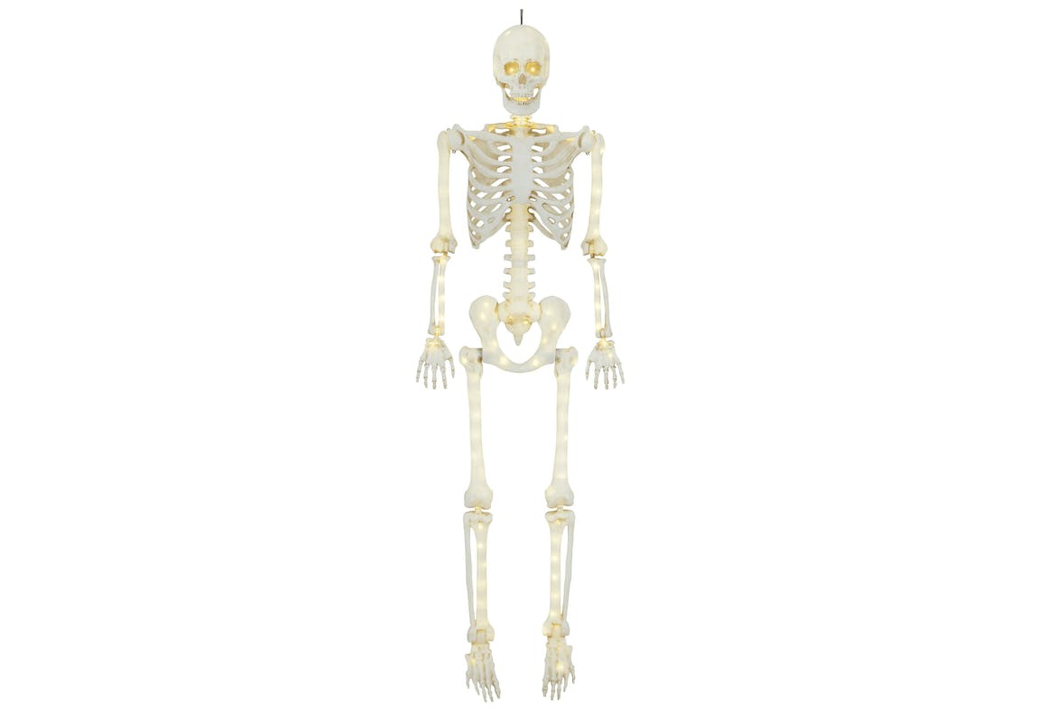 Way To Celebrate LED Skeleton