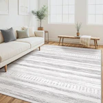 Area Rug