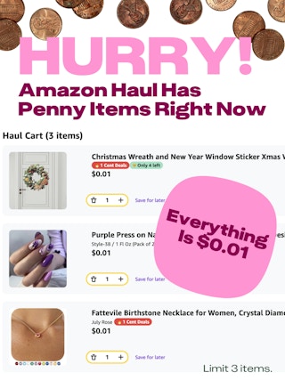 amazon haul penny items cyber monday