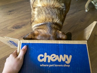 a person's hand holding a Chewy delivery box open while a dog sticks its head inside the box.