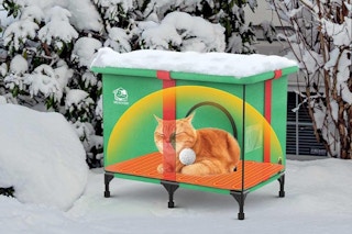 amazon cat house