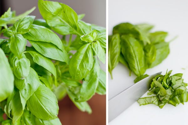 How to Freeze Herbs