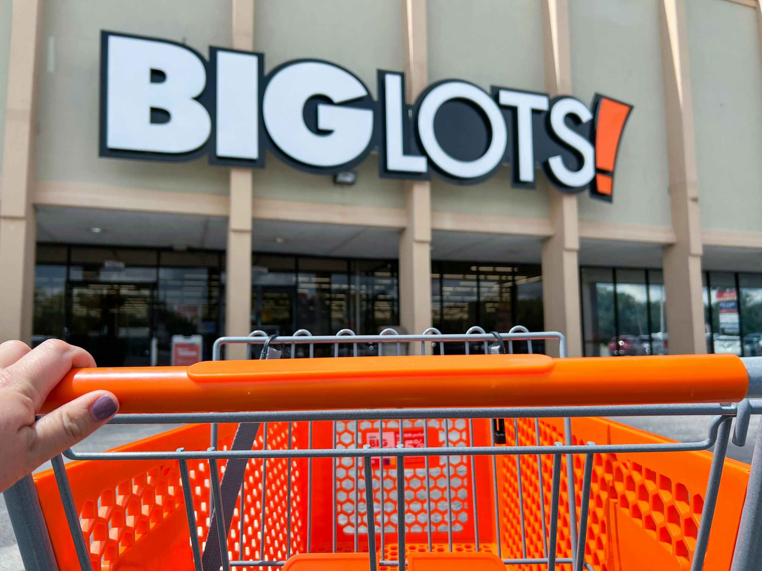 big-lots-storefront-with-cart-2022