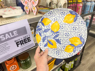 dollar general true living melamine. plate