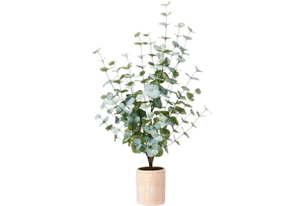 Studio McGee Large Eucalyptus Plant in Pot