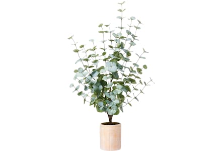Studio McGee Large Eucalyptus Plant in Pot 