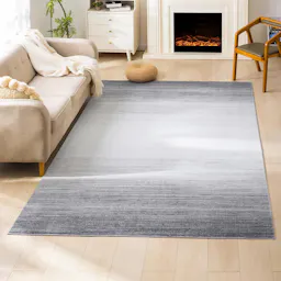 Ombre Area Rug