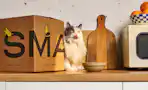 Smalls Cat Food