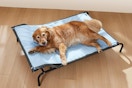 Elevated Dog Bed and Cooling Mat