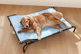 Elevated Dog Bed and Cooling Mat