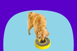 Puzzle Dog Feeder, $15 on Amazon (Reg. $50) card image